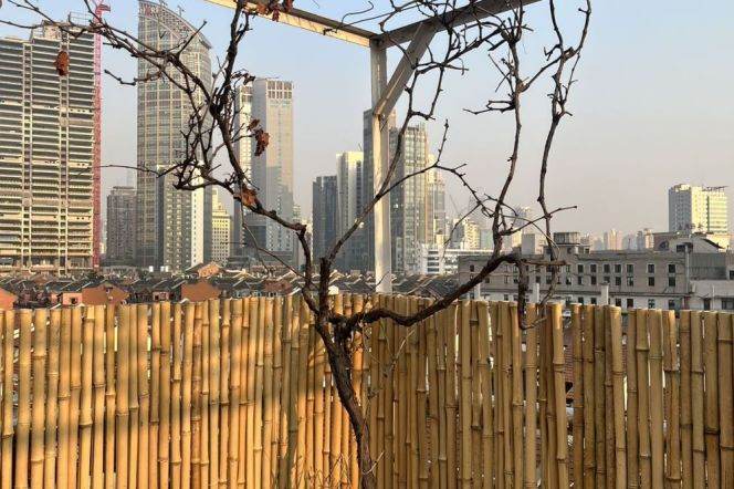 West Nanjing 1br Terrace