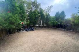 Single House 4 br with Garden in PuDong, Next British School(KangQiao) L 18