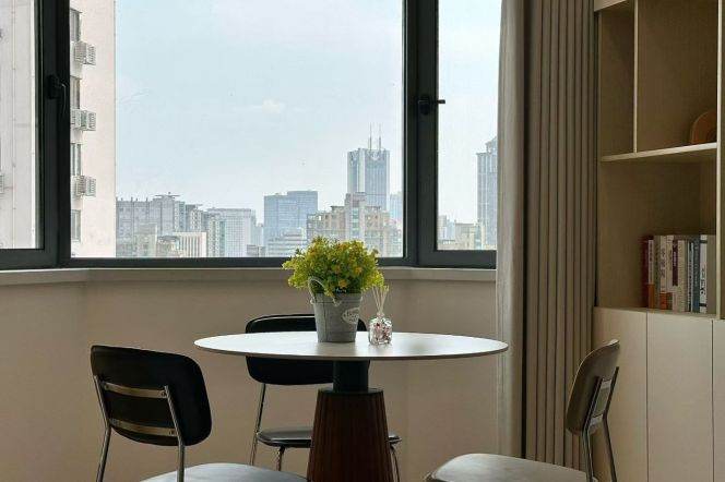 Lovely high rise 1 BR 1 LR with great view nr West Nanjing rd