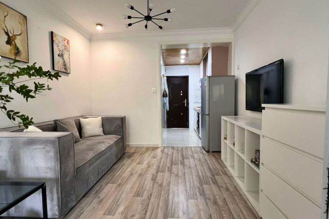 Modern 1Br/1Lr/1Bt apt nr Jiangsu rd,M2/11