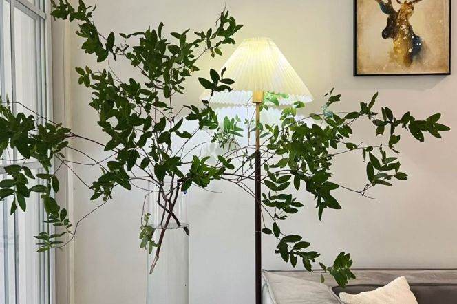 Modern 1Br/1Lr/1Bt apt nr Jiangsu rd,M2/11