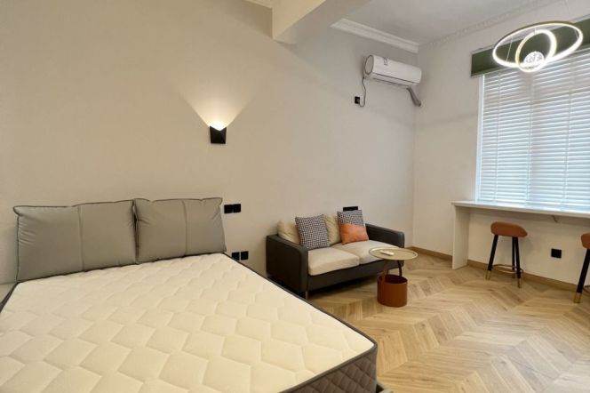Lovely and cozy one bedroom near Wuning rd station 