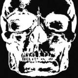 No Fear: Round Eye, Loudspeaker, Stirrers (Live Punk Rock) 