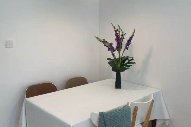 Jiangning rd 1BR apartment
