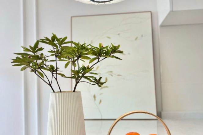 1 Big Br, 1 Living room, Central ac/Oven, 80 sqm @ Xujiahui station L1,9&11