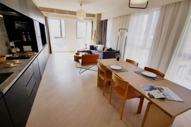 Luxury spacious 1br serviced apt in Xintiandi nr L8,10