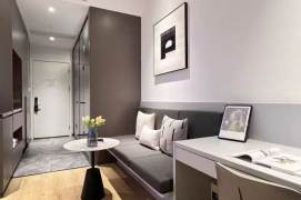 1Studio near line 8 and SISU(ESSCA) can long and short lease 