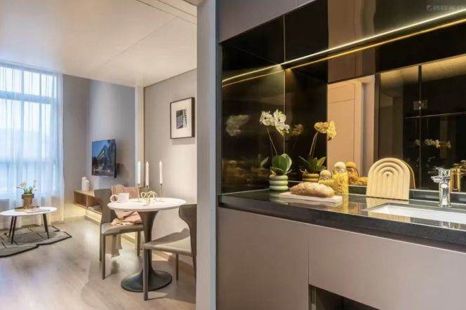 1Loft near line 3 and SISU(ESSCA) can long and short term lease