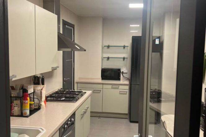 modern big 2brs nice balcony modern furniture near Xintiandi big park only 22.5K