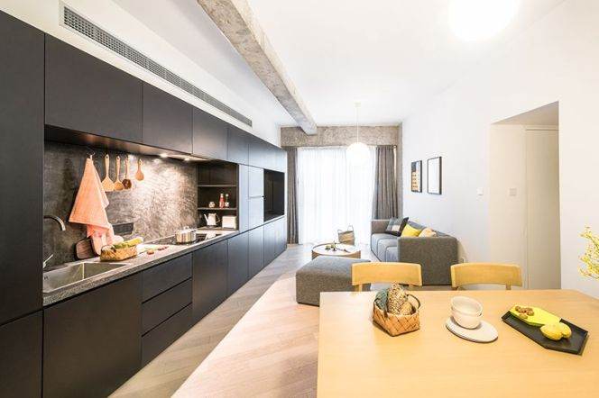 Luxury modern 1br serviced apt in Xintiandi nr L8,10