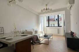 1BR+Balcony-South Shannxi iapm