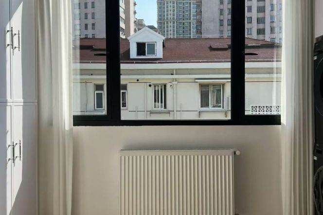 1BR+Balcony-South Shannxi iapm