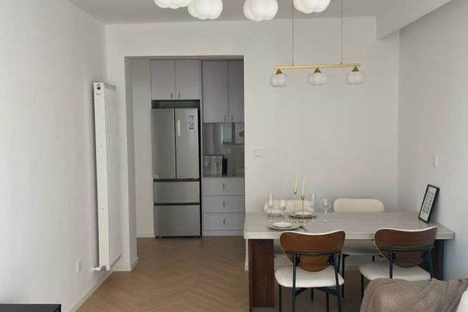 1BR+Balcony-South Shannxi iapm