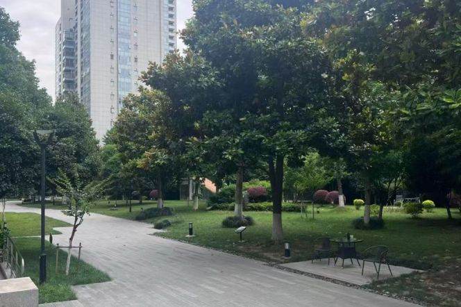 modern big 2brs nice balcony modern furniture near Xintiandi big park only 22.5K