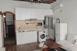 1 br near L2/L7 jing'an temple station