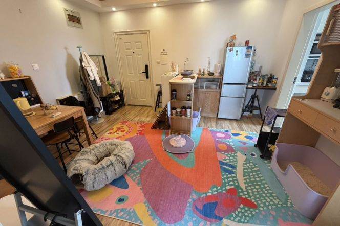 2 brs near L2/L7/L14 jing'an temple station+elevator