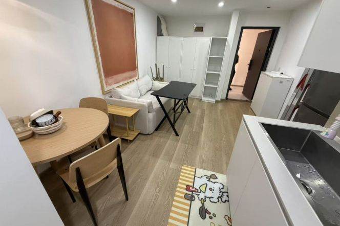 1 br at L2/L12/L13 west nanjing rd station+elebvator