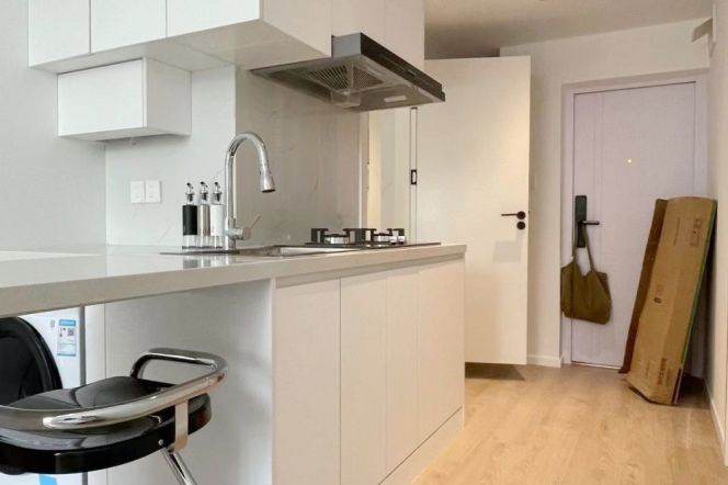 Modern&Spacious&Bright 1Bdr 1Bath Apt+2F Walk Up+L10/11 Jiao Tong Uni. Metro+Wu Kang Rd