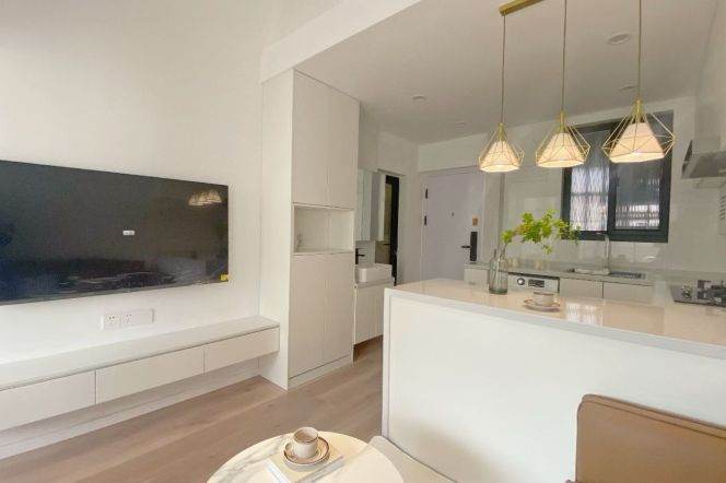 shuicheng rd station one bedroom