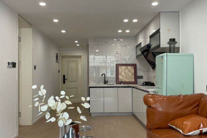 1Bdr 1Bath Apt/Spacious&Modern&Bright /Large Closet/ Line 2/7/14 Jing'an Temple/stairs