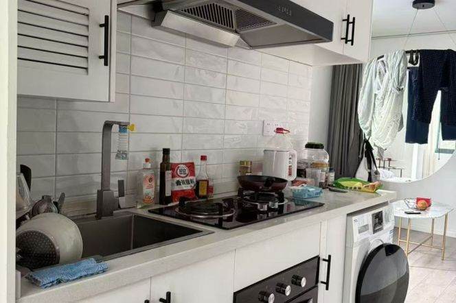 1 br near L2/L3/L4 zhongshan park station