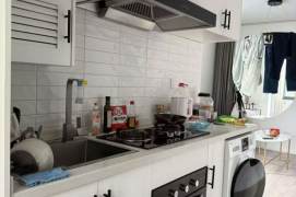 1 br near L2/L3/L4 zhongshan park station