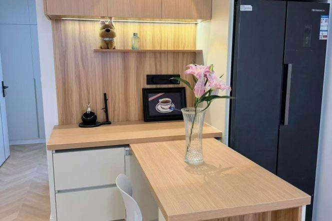 Hongqiao rd elevator 1BR apartment