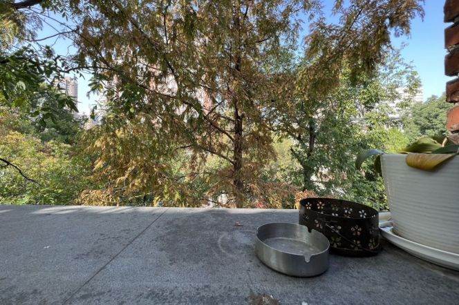 Valuable/Character Anfu/Wukang Rd 2BR with Balcony 16.8K 