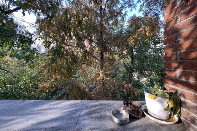 Valuable/Character Anfu/Wukang Rd 2BR with Balcony 16.8K 