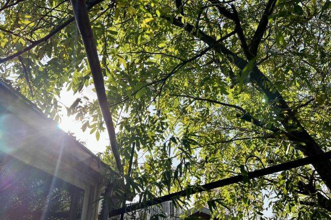 Valuable/Character Anfu/Wukang Rd 2BR with Balcony 16.8K 