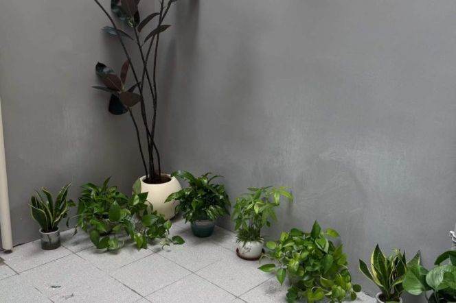 changping rd modern 1BR/big living room@L7