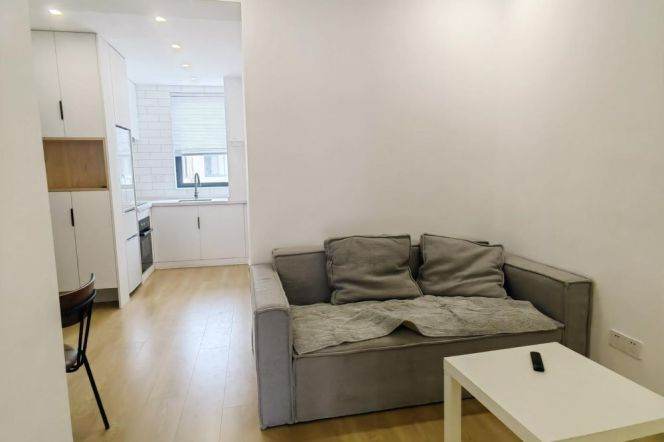 Bright 1 br with open balcony in Old XuHui . 5 mins walking to L 9/12 JiaShan Rd St.