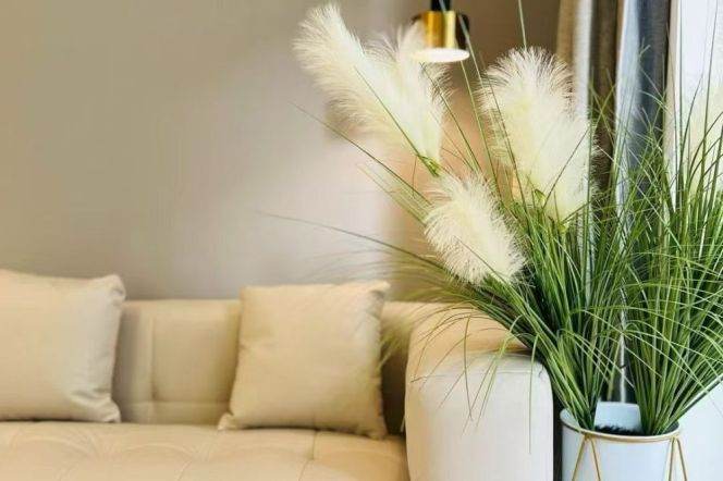 Nice yard 1Br/1Lr/1Bt apt nr Jiangsu rd,M2/11