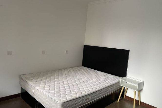 Cozy bright 4rooms available Jiaotong university /hong qiao lu DHU