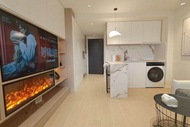 Tongji Garden -1bed - bright- elevator - convenient location-Line 7 Changping Road 