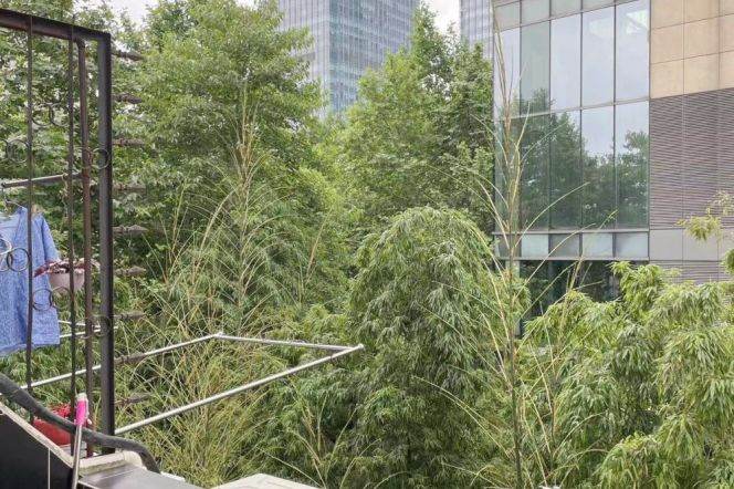 Modern&Spacious&Bright Elevator 1Bdr 1Bath Apt +IAPM+Large Open Balcony+Greenery View