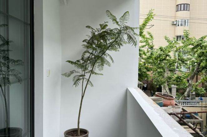 Cozy 1br with Balcony @Wuxing Road,M Huaihai Road