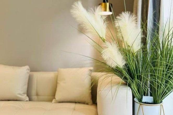 jiangsu rd station one bedroom