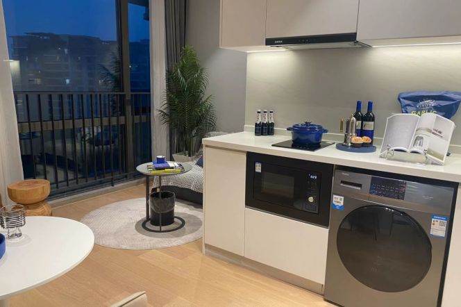 1BR near line 10 Wujiaochang and Fu'dan Uni can long and short term lease