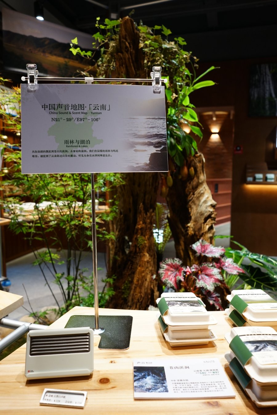 Indie Vinyl, Field Recordings, and Hi-Fi Gear: Shanghai has a Sound Library