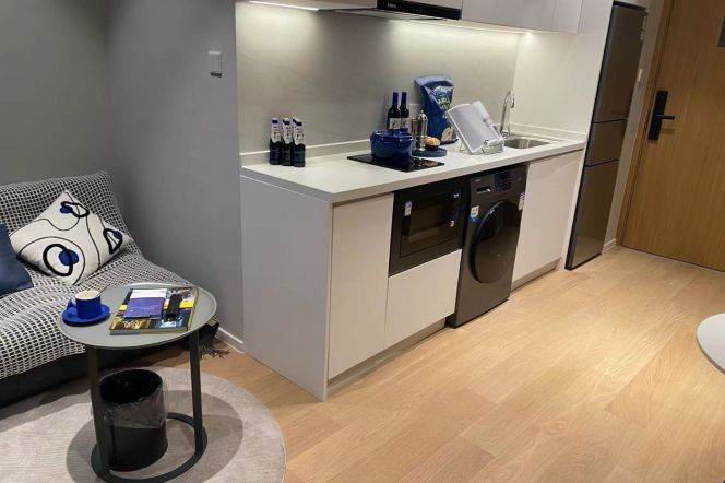 1BR near line 10 Wujiaochang and Fu'dan Uni can long and short term lease
