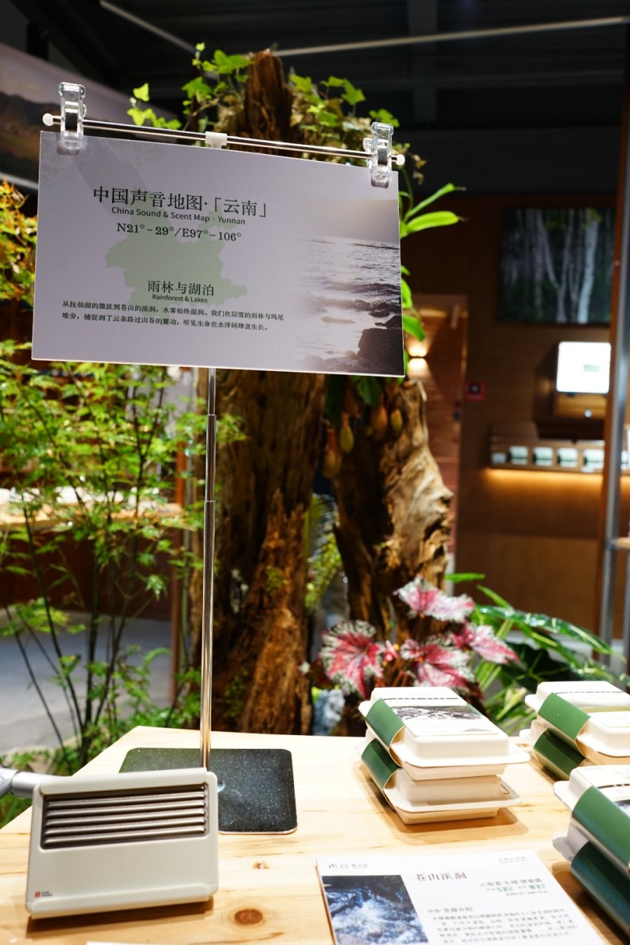 Indie Vinyl, Field Recordings, and Hi-Fi Gear: Shanghai has a Sound Library