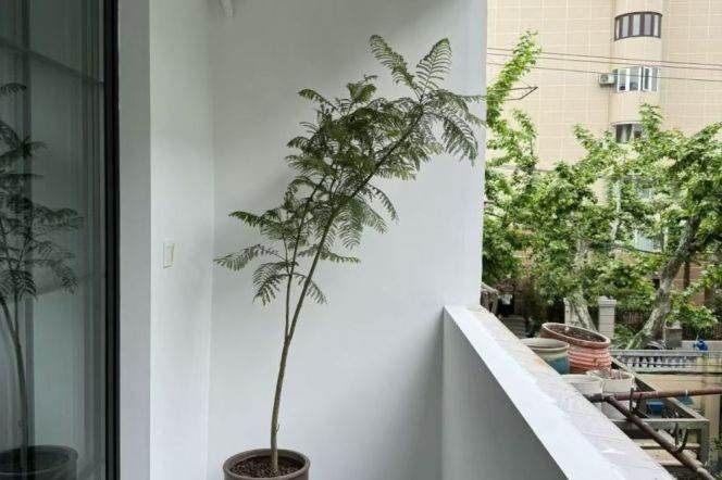 销量 0 Homey 1br with balcony nr Shanghai Library Line 10 