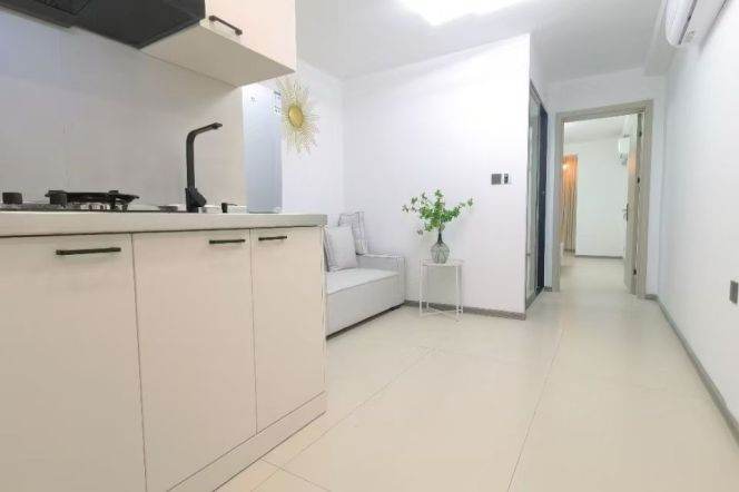 Bright spacious modern clean 1br Apt with elevator @ Changning