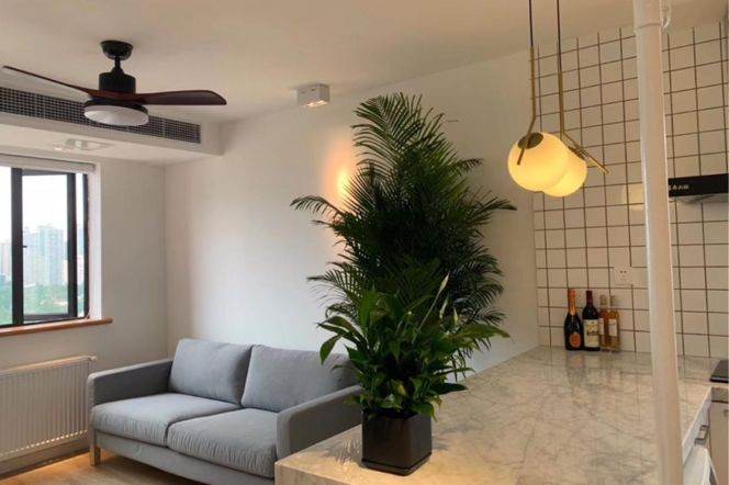 19F Balcony 1Bed with Elevator@Wuyuan Rd