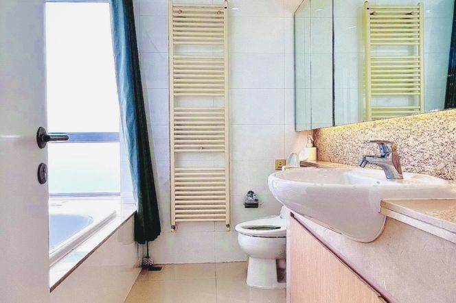 Xujiahui 180 sqm 3 br penthouse &roof terrace/nice compound &gym+Pool