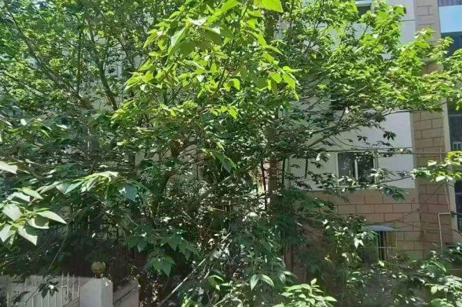 Jiangsu rd 2BR 2BATH with balcony
