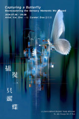 Capturing a Butterfly｜An immersive media art exhibition by Var. One Yiru