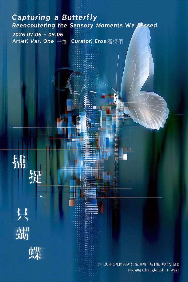 Capturing a Butterfly｜An immersive media art exhibition by Var. One Yiru