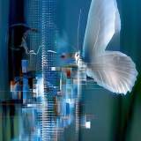 Capturing a Butterfly｜An immersive media art exhibition by Var. One Yiru